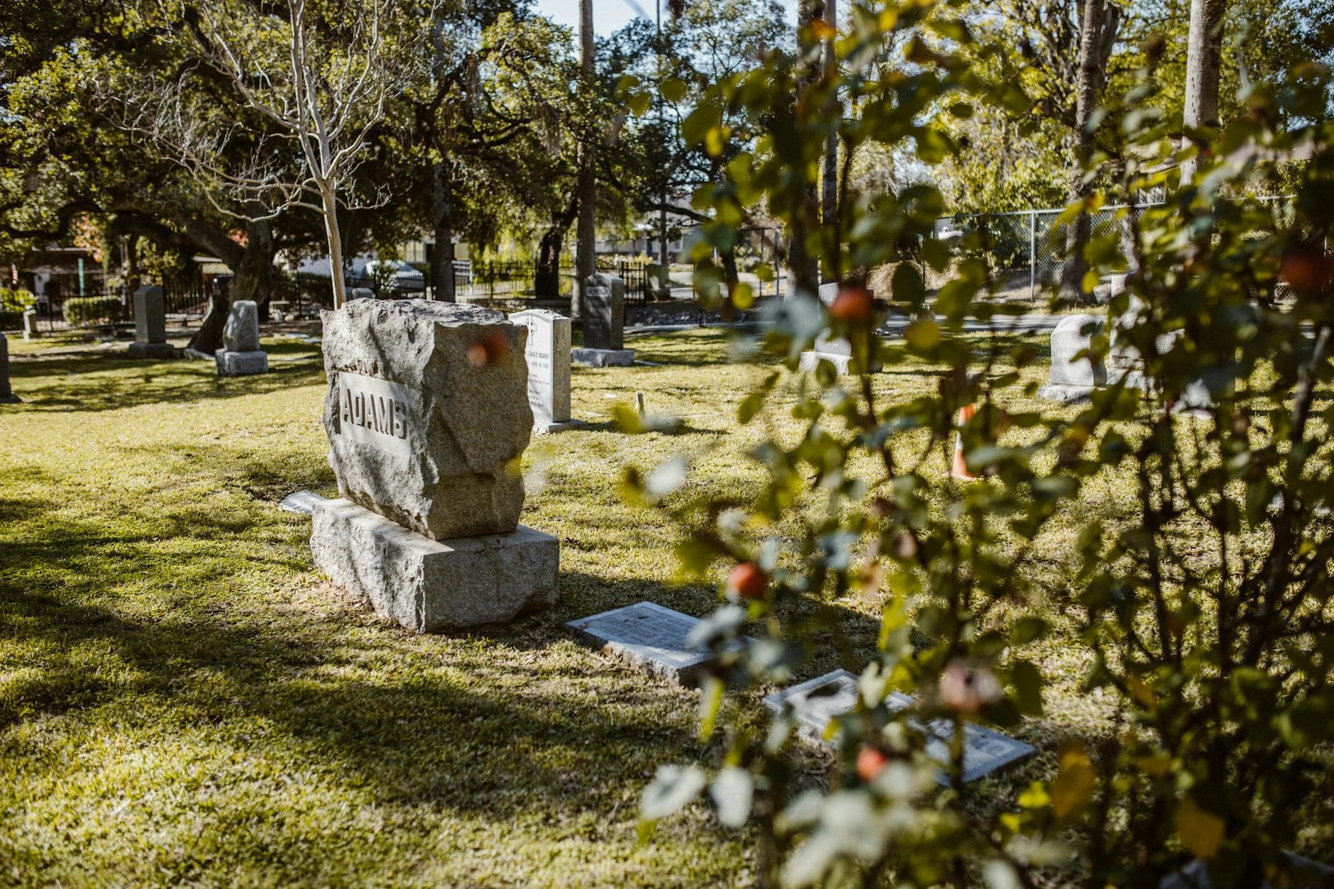 A peaceful cemetery scene with tombstones and trees under sunlight.