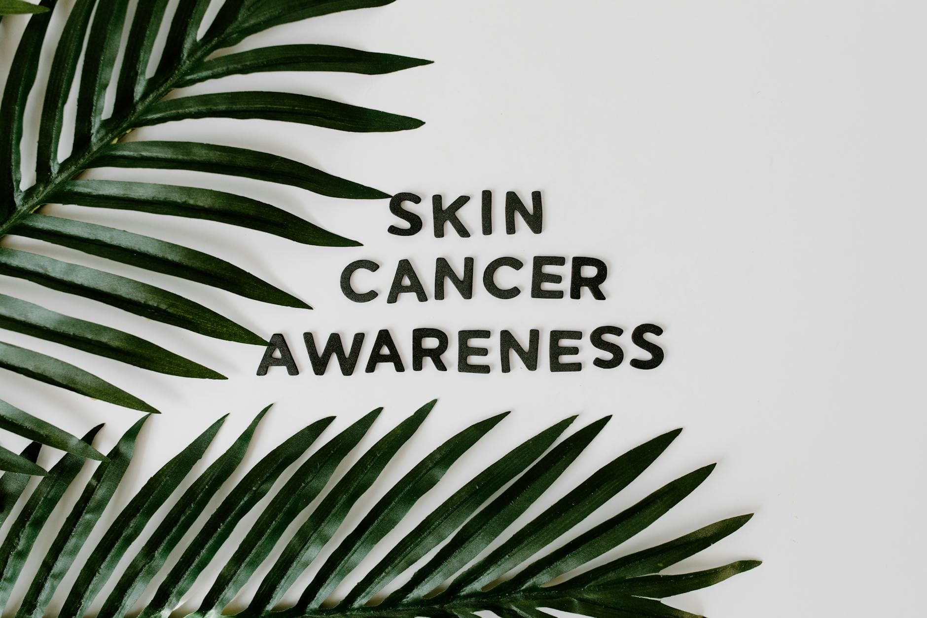 Conceptual image highlighting skin cancer awareness with palm leaves and bold text on white background.