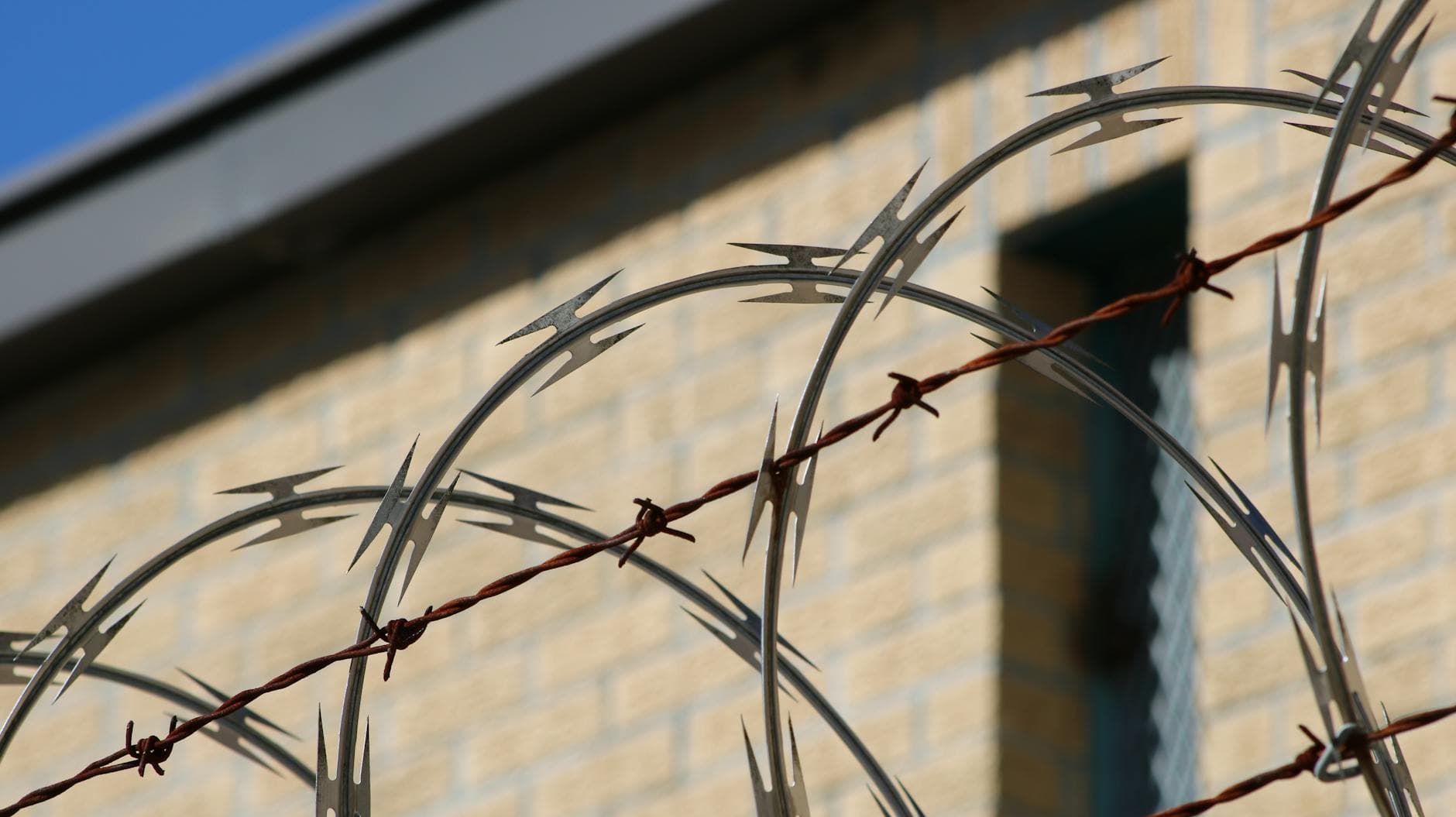 Sharp barbed wire in focus with a blurred brick wall background.