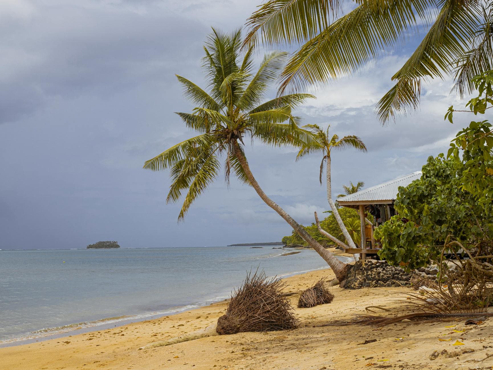 Relaxing tropical beach scene in Apia, Samoa with palm trees and blue ocean waters.