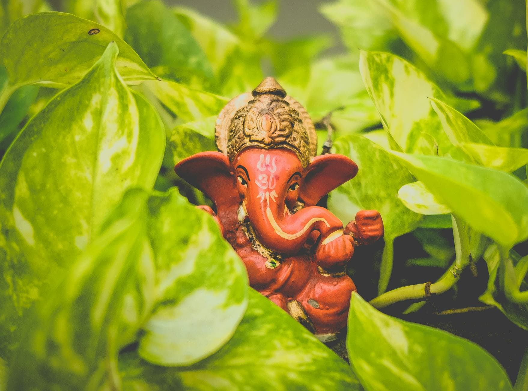 A vibrant Ganesha idol surrounded by lush green leaves, representing spirituality and nature.